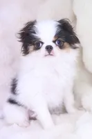 processed/4a16e0b8-ecda-4541-b343-02f879b7508f/listing/1fa91096-8952-47d9-aba7-bf5d37e7686a/059d3f71-9beb-4587-96b4-eb87190b8ba2