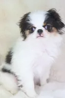 processed/4a16e0b8-ecda-4541-b343-02f879b7508f/listing/1fa91096-8952-47d9-aba7-bf5d37e7686a/20871ee0-32c9-4143-b6fd-89f1c106e725