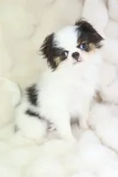 processed/4a16e0b8-ecda-4541-b343-02f879b7508f/listing/1fa91096-8952-47d9-aba7-bf5d37e7686a/5cd7e7f0-12ae-4de6-8eb1-b638a8f75368