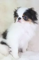 processed/4a16e0b8-ecda-4541-b343-02f879b7508f/listing/1fa91096-8952-47d9-aba7-bf5d37e7686a/e2742fe3-530a-4570-b524-521f1e02e344