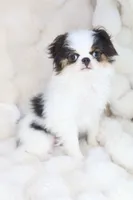 processed/4a16e0b8-ecda-4541-b343-02f879b7508f/listing/1fa91096-8952-47d9-aba7-bf5d37e7686a/e87dac3e-5021-48c2-9014-e3ec7da32d36