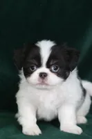 processed/4a16e0b8-ecda-4541-b343-02f879b7508f/listing/79db7761-6db8-4a42-ac6d-41e1114fc9a7/3eeb0a8e-e75b-4964-b199-57b324663803