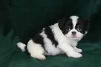 processed/4a16e0b8-ecda-4541-b343-02f879b7508f/listing/79db7761-6db8-4a42-ac6d-41e1114fc9a7/6105995c-8842-4505-a731-16f94dca22f0