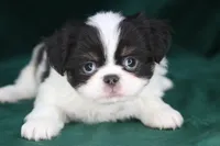 processed/4a16e0b8-ecda-4541-b343-02f879b7508f/listing/79db7761-6db8-4a42-ac6d-41e1114fc9a7/b8517ab3-ad85-4d75-bbdd-de7f60e4ba32