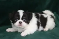 processed/4a16e0b8-ecda-4541-b343-02f879b7508f/listing/79db7761-6db8-4a42-ac6d-41e1114fc9a7/d94265fc-8d6c-4c3a-ab99-fc190ed319aa