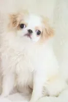 processed/4a16e0b8-ecda-4541-b343-02f879b7508f/listing/7da2c714-6824-4900-89e2-fe783759a399/199f0a38-5813-4bc5-8b48-c1c3c380db25