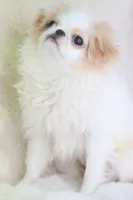 processed/4a16e0b8-ecda-4541-b343-02f879b7508f/listing/7da2c714-6824-4900-89e2-fe783759a399/3a10a3ca-74a1-49d1-b8e8-093e3fbf10ab