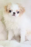 processed/4a16e0b8-ecda-4541-b343-02f879b7508f/listing/7da2c714-6824-4900-89e2-fe783759a399/ddfb24bb-7220-4b29-b649-3450c77f3e21