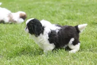 processed/4a16e0b8-ecda-4541-b343-02f879b7508f/listing/8255985e-fa92-4a9c-b1f9-65d7276ad0e1/08ac2659-8128-406e-9779-3e7710277845