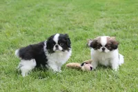 processed/4a16e0b8-ecda-4541-b343-02f879b7508f/listing/8255985e-fa92-4a9c-b1f9-65d7276ad0e1/1a46617b-cf65-479a-aca9-b097a0783e80