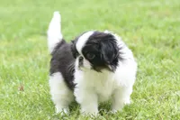 processed/4a16e0b8-ecda-4541-b343-02f879b7508f/listing/8255985e-fa92-4a9c-b1f9-65d7276ad0e1/407e252d-f07a-48de-b7af-13bc921bf669