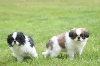 processed/4a16e0b8-ecda-4541-b343-02f879b7508f/listing/8255985e-fa92-4a9c-b1f9-65d7276ad0e1/4c2c3305-da40-4d92-84c7-6417715664d5