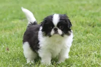 processed/4a16e0b8-ecda-4541-b343-02f879b7508f/listing/8255985e-fa92-4a9c-b1f9-65d7276ad0e1/dc51def3-9e7f-4b5d-bfb8-dd1b74419595