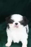 processed/4a16e0b8-ecda-4541-b343-02f879b7508f/listing/a82adb8e-8f0a-4964-8483-95266eb43ad4/175e31c3-08b7-4395-9ed5-d22be58d96b4