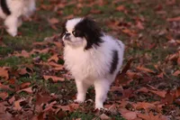 processed/4a16e0b8-ecda-4541-b343-02f879b7508f/listing/a82adb8e-8f0a-4964-8483-95266eb43ad4/2b2aa2aa-5382-4d75-8fe5-fb734a4f8686