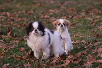 processed/4a16e0b8-ecda-4541-b343-02f879b7508f/listing/a82adb8e-8f0a-4964-8483-95266eb43ad4/4a810899-a78e-48f2-9833-b2ae1de3fe27