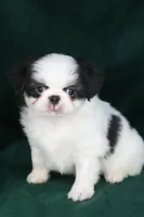 processed/4a16e0b8-ecda-4541-b343-02f879b7508f/listing/a82adb8e-8f0a-4964-8483-95266eb43ad4/4fedce86-a9e3-4df6-ab5f-c7ceccf632fb