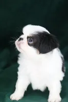 processed/4a16e0b8-ecda-4541-b343-02f879b7508f/listing/a82adb8e-8f0a-4964-8483-95266eb43ad4/abd11288-a88f-468d-b9b7-55db6523649d