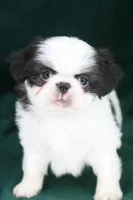 processed/4a16e0b8-ecda-4541-b343-02f879b7508f/listing/a82adb8e-8f0a-4964-8483-95266eb43ad4/b39b89f9-6e72-45aa-88a4-3a9e38efcd82