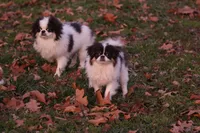 processed/4a16e0b8-ecda-4541-b343-02f879b7508f/listing/a82adb8e-8f0a-4964-8483-95266eb43ad4/e4412f5a-0d5e-49e1-86bd-6b23fd832a31