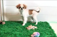 processed/4a16e0b8-ecda-4541-b343-02f879b7508f/listing/c5127875-a54b-4a89-9c6a-770647eec03a/5cdb5fd4-123e-40b6-a77e-be6de878d3d0