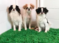 processed/4a16e0b8-ecda-4541-b343-02f879b7508f/listing/c5127875-a54b-4a89-9c6a-770647eec03a/6c84f9da-f9c7-426f-bf11-0ad6e9466d68