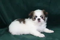 processed/4a16e0b8-ecda-4541-b343-02f879b7508f/listing/c5127875-a54b-4a89-9c6a-770647eec03a/7b9196ae-4618-4627-9e49-d1831306c45c