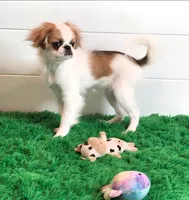 processed/4a16e0b8-ecda-4541-b343-02f879b7508f/listing/c5127875-a54b-4a89-9c6a-770647eec03a/972ba57b-d181-4d08-90c9-a0f7e5fc0be8