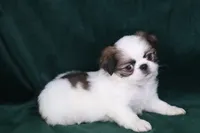 processed/4a16e0b8-ecda-4541-b343-02f879b7508f/listing/c5127875-a54b-4a89-9c6a-770647eec03a/b629288e-e519-4f15-8389-4e79c0d17b93