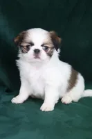 processed/4a16e0b8-ecda-4541-b343-02f879b7508f/listing/c5127875-a54b-4a89-9c6a-770647eec03a/bd836ff7-f267-4c0f-a027-d8c24655d0fd