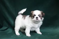 processed/4a16e0b8-ecda-4541-b343-02f879b7508f/listing/c5127875-a54b-4a89-9c6a-770647eec03a/eab69b3d-7c46-4bb1-835b-e089fa173d64