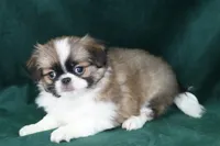 processed/4a16e0b8-ecda-4541-b343-02f879b7508f/listing/c587966c-e9d3-408a-952a-697cc030a0f3/76d68306-2d60-48f0-a3e7-3a59e7a27f22