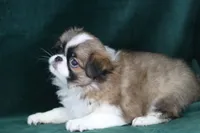 processed/4a16e0b8-ecda-4541-b343-02f879b7508f/listing/c587966c-e9d3-408a-952a-697cc030a0f3/7c15c5e3-7874-4e19-a88c-005af2a1dc6c