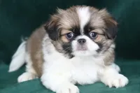 processed/4a16e0b8-ecda-4541-b343-02f879b7508f/listing/c587966c-e9d3-408a-952a-697cc030a0f3/acfd5719-cc41-47d3-8766-0eba48934842