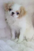 processed/4a16e0b8-ecda-4541-b343-02f879b7508f/listing/ca4975ca-81e6-4c77-bc7a-37ca6acd0ef9/24460b3c-839d-4142-ad32-c4695e383ddc