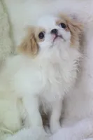 processed/4a16e0b8-ecda-4541-b343-02f879b7508f/listing/ca4975ca-81e6-4c77-bc7a-37ca6acd0ef9/4e6b53dc-8e73-4585-aa3a-d83a61ac2ebc