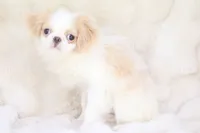 processed/4a16e0b8-ecda-4541-b343-02f879b7508f/listing/ca4975ca-81e6-4c77-bc7a-37ca6acd0ef9/54cef2d0-9237-4da9-ac5f-ba8f6a87d061