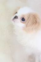 processed/4a16e0b8-ecda-4541-b343-02f879b7508f/listing/ca4975ca-81e6-4c77-bc7a-37ca6acd0ef9/65aab4cc-e90f-4600-8a2a-c788d204714c