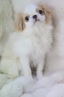 processed/4a16e0b8-ecda-4541-b343-02f879b7508f/listing/ca4975ca-81e6-4c77-bc7a-37ca6acd0ef9/d8cc8370-ec27-4e3e-91f5-9429b0bfff89