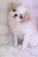 processed/4a16e0b8-ecda-4541-b343-02f879b7508f/listing/ca4975ca-81e6-4c77-bc7a-37ca6acd0ef9/e6af8478-fc8a-4528-84dd-9b3a0fcb6c1a