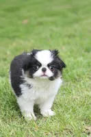 processed/4a16e0b8-ecda-4541-b343-02f879b7508f/listing/f290789b-767c-4768-ac3f-3f06579eee6a/300ba919-89af-4719-8bfc-282b8d4bf584