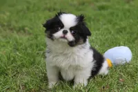 processed/4a16e0b8-ecda-4541-b343-02f879b7508f/listing/f290789b-767c-4768-ac3f-3f06579eee6a/5725b81e-c9e7-4968-96b3-0e71c2f377d5