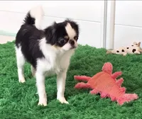 processed/4a16e0b8-ecda-4541-b343-02f879b7508f/listing/f290789b-767c-4768-ac3f-3f06579eee6a/80376720-c4a4-4104-a8d1-4d659a53194a