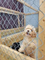 processed/4a1736c7-8442-4156-a4c3-dd7dfab1d2f4/facility/04e6af47-25b8-4df3-b677-c91443e099d3