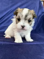 processed/4a1736c7-8442-4156-a4c3-dd7dfab1d2f4/listing/12e1e669-afd3-4631-9c6b-e248e9052b5c/0a5b2205-4ef2-4aea-a3a4-400cc4b99067