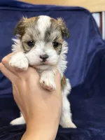 processed/4a1736c7-8442-4156-a4c3-dd7dfab1d2f4/listing/12e1e669-afd3-4631-9c6b-e248e9052b5c/63432975-6471-484d-bd3f-a434063b5871