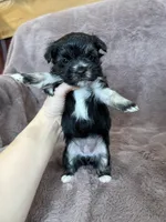 processed/4a1736c7-8442-4156-a4c3-dd7dfab1d2f4/listing/5b62ecc9-882b-44b4-8c6d-da363d6ac042/24337fe7-4ceb-4311-b32e-bf22d5aa3464