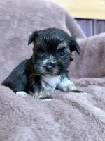 processed/4a1736c7-8442-4156-a4c3-dd7dfab1d2f4/listing/5b62ecc9-882b-44b4-8c6d-da363d6ac042/513bc50f-d8dd-4b9b-9ec3-f2d1aa6af7ef