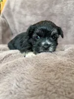 processed/4a1736c7-8442-4156-a4c3-dd7dfab1d2f4/listing/5b62ecc9-882b-44b4-8c6d-da363d6ac042/cb83ad96-c62d-46e8-a3cc-0a1600feec11