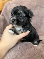 processed/4a1736c7-8442-4156-a4c3-dd7dfab1d2f4/listing/5b62ecc9-882b-44b4-8c6d-da363d6ac042/e8bd6d7e-7af1-4ea8-934f-093b87ab39c2